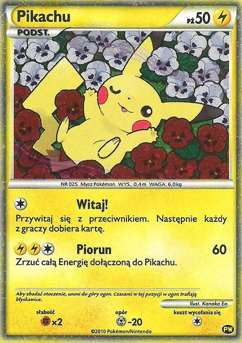 Pikachu (Polish) (PW 8) (Pikachu World Collection Promos) (PWCP)